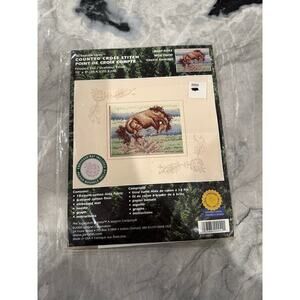 Janlynn Counted Cross Stitch Embossed Mat Wild Horse 68691